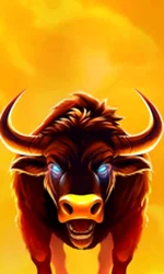 Big Wild Buffalo 2